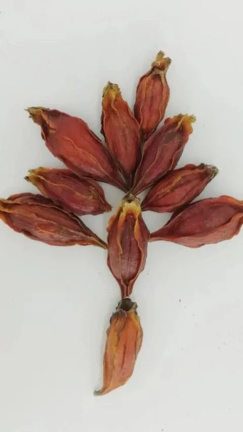 4. Gardenia: Warna yang Larut dalam Air