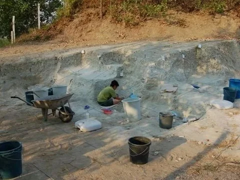 Nenek Moyang Keju Ditemukan dalam Gambar Bahan Makanan di Sebuah Gua dari 10.000 SM