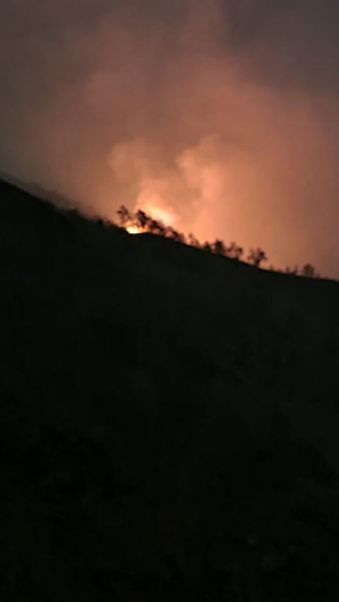 Kebakaran Hutan Gunung Lawu  Meluas hingga Jawa Tengah<br>