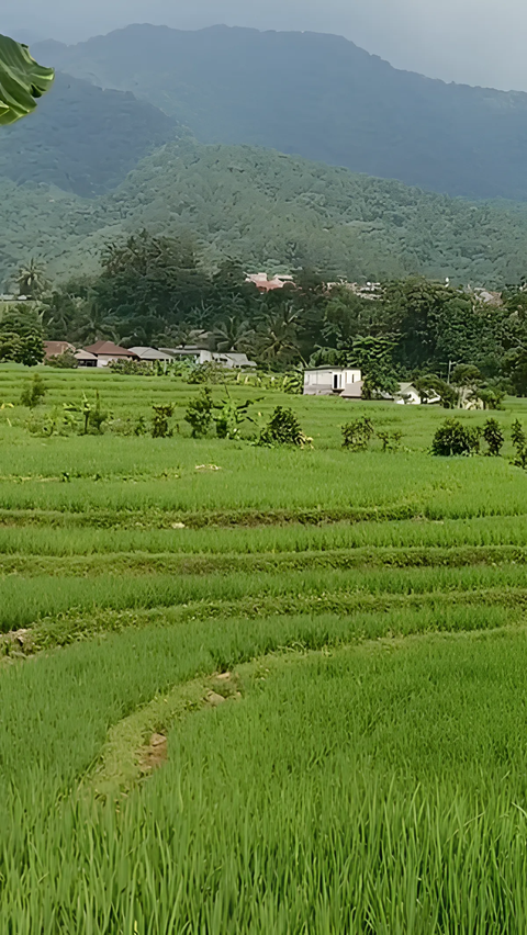 Mengunjungi Desa Wisata Ciasihan di Bogor, Punya 10 Curug yang Indah sampai Oleh-oleh Peci dari Bambu