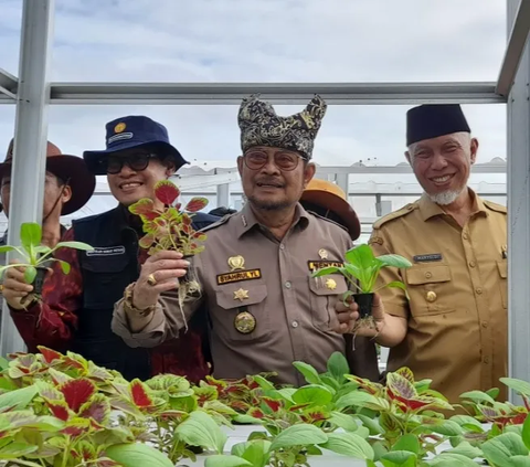 NasDem Bantah Mentan Menghilang: Syahrul Yasin Limpo Ada Masalah Prostatnya jadi Pengobatan Dahulu