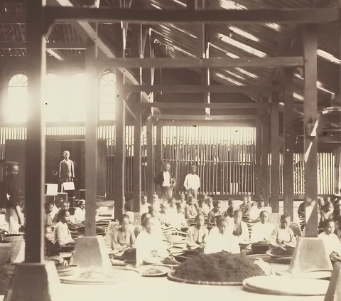 Promosi Teh Sukabumi di Eropa Tahun 1883 Ini Unik Pakai Gamelan Sunda, Ini Sosok di Baliknya