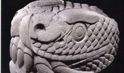 Para arkeolog dari Institut Antropologi dan Sejarah Nasional Meksiko (INAH), mengatakan bahwa patung kepala ular ini berukuran panjang 1,8 meter, tinggi 1 meter, dan lebar 86 cm. 