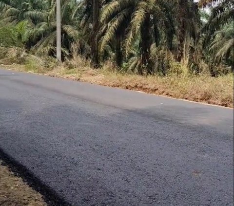 Viral Pria Bengkulu Cium Aspal Baru di Kampungnya, Sudah Menanti selama 37 Tahun