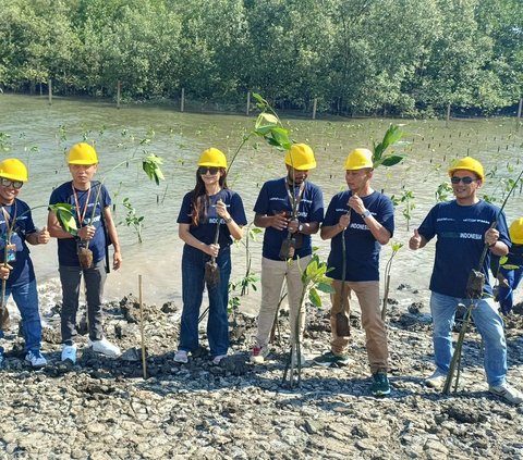 PNM Gandeng PT Waskita Beton Precast Tanam Mangrove dan Beri Akses Air Bersih