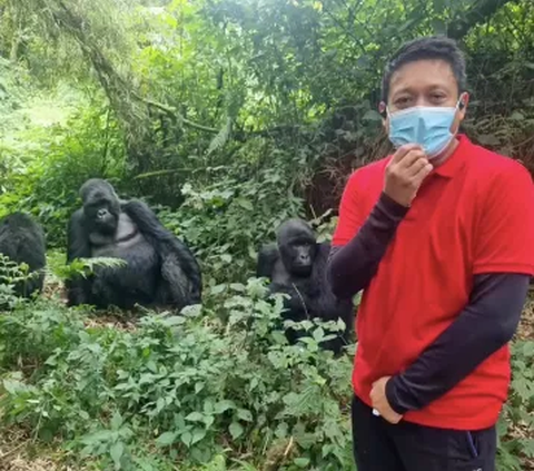 Irjen Krishna Murti Ngos-ngosan Diajak Orang Rwanda ke Hutan Belantara, Berani Banget Hadap-hadapan dengan Sosok ini