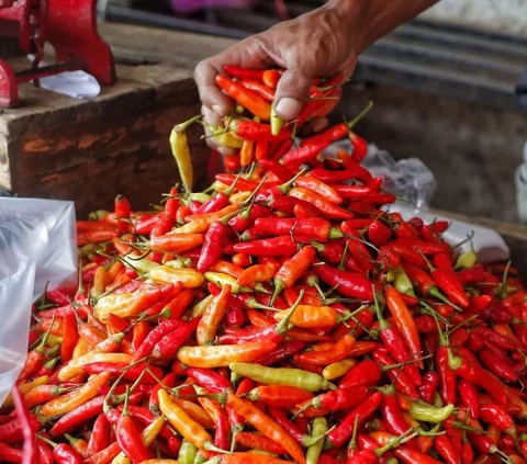 Harga Cabai Melejit Akibat El Nino, Masyarakat Pilih Beli Cabai Kering