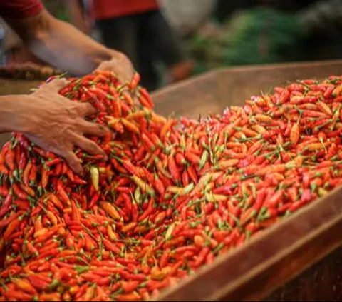 Harga Cabai Melejit Akibat El Nino, Masyarakat Pilih Beli Cabai Kering