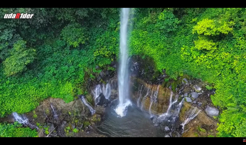 Pemandangan hutan dan gunung terlihat jelas