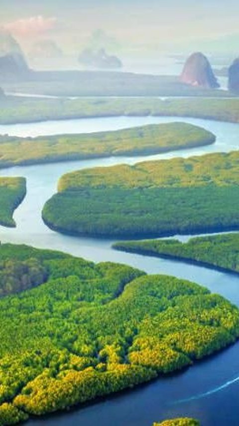 2. Sungai Amazon<br>