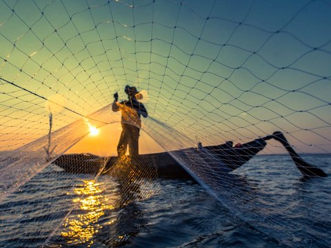 Cerita Nelayan Gaza Kesulitan Cari Ikan di Tengah Invasi Israel, Allah Langsung Kirimkan 100 Hiu