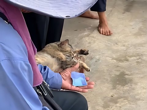 Grandfather Selling Palm Sugar Cheated, Can Only Gaze Sadly After Knowing Paid with Toy Money