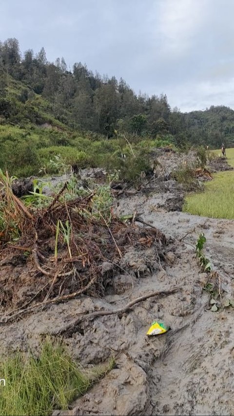 Potret Warga Papua Berjibaku Angkut Batu Besar & Bersihkan Lumpur Sisa Longsor di Runway Bandara