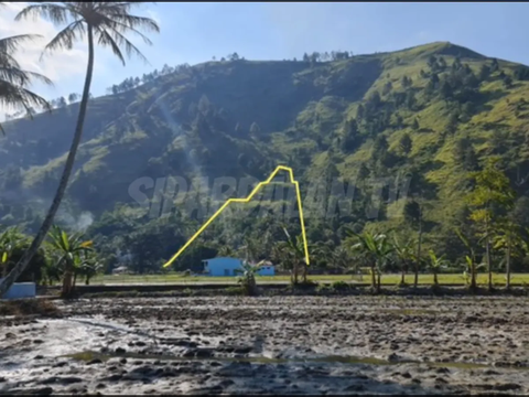 Facts about the Discovery of Toba Pyramid, Said to be Similar and Older than Mount Padang Site