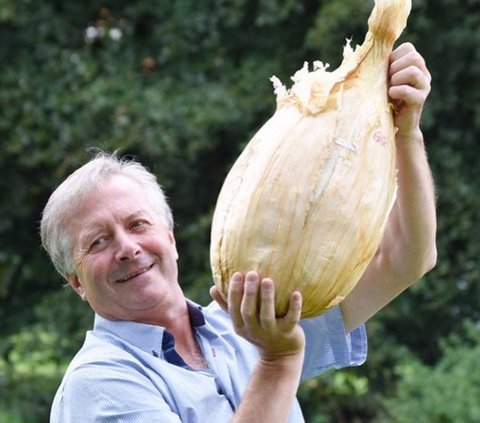 Break the World Record, There is an Onion Weighing 8.9 Kg