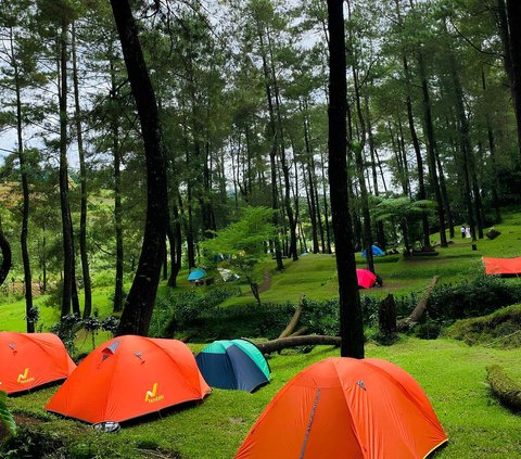 Tempat Camping di Cianjur Ini Bikin Betah, Sinyal HP Kuat dan Suguhkan Kombinasi Rumput Hijau dengan Sunrise Cantik