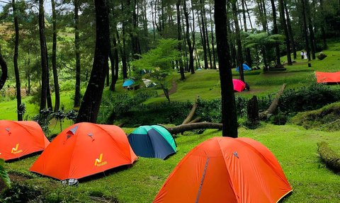 Tempat Camping di Cianjur Ini Bikin Betah, Sinyal HP Kuat dan Suguhkan Kombinasi Rumput Hijau dengan Sunrise Cantik