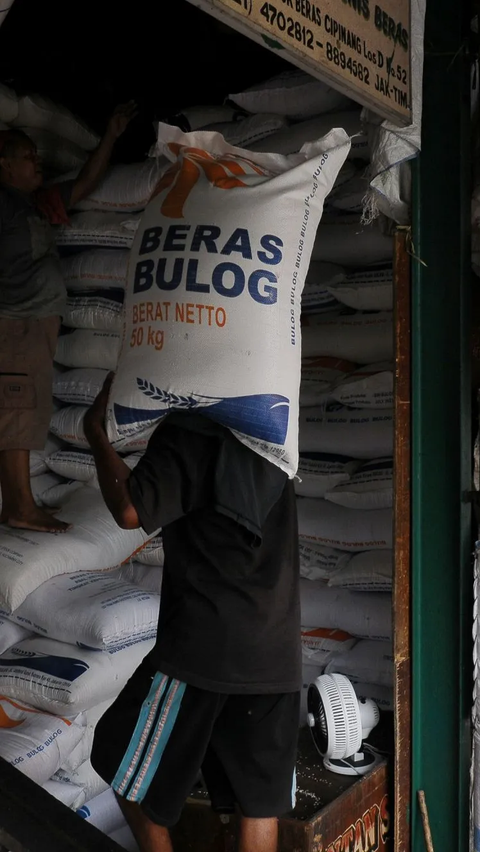 Suyamto menyatakan kenaikan harga beras ini juga dikarenakan beberapa faktor baik eksternal maupun internal dalam negeri, seperti bencana El Nino dan juga situasi dalam negeri yang memasuki musim tanam.