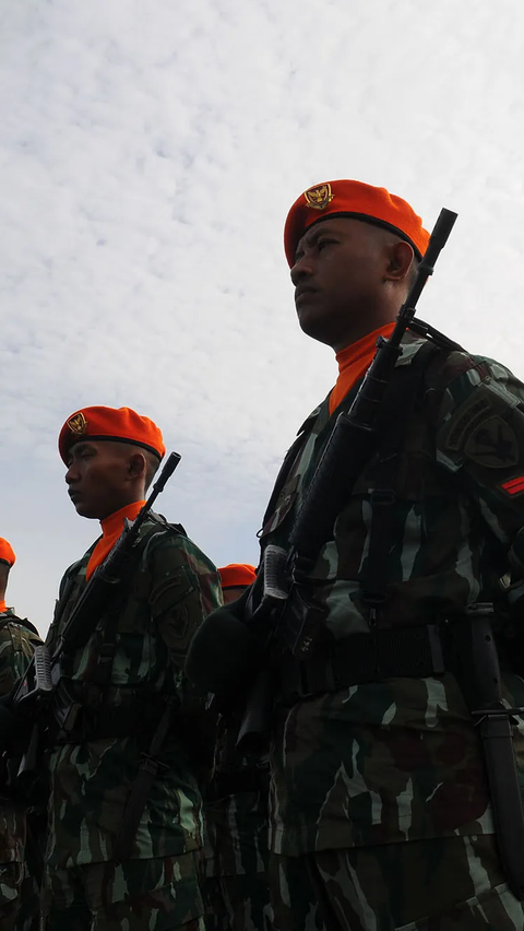 HUT TNI ke-78: Sejarah TNI, Beserta Tugas Pokok dan Fungsinya