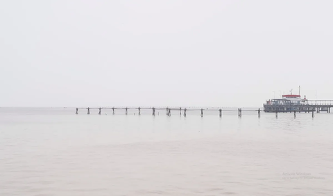 Seorang nelayan di Kabupaten Tanjung Jabung Barat, Arifin Mali mengatakan bahwa sudah sepekan dirinya tidak ke laut karena kabut asap yang tebal di tengah laut, dan jarak pandang juga terlalu dekat.<br>
