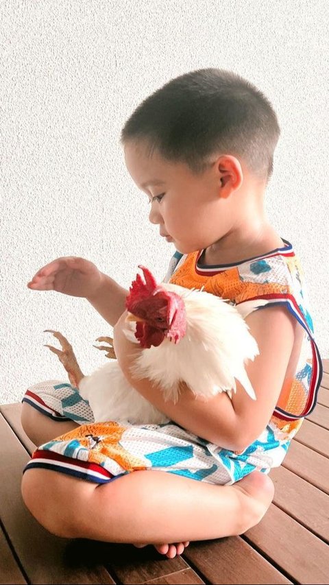 Super Cute! Portrait of Citra Kirana's Son Spoiling Grandfather's Heritage Chicken