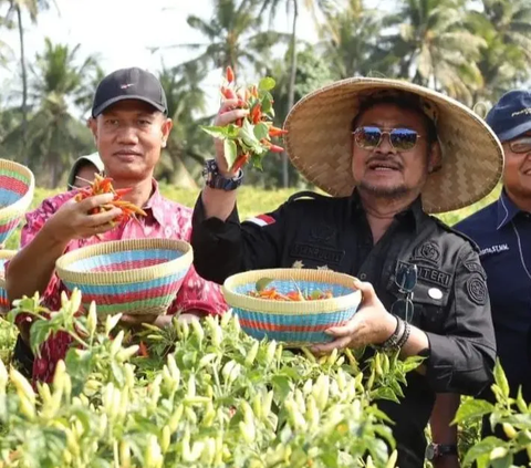 Syahrul Yasin Limpo Ingin Bertemu Jokowi, Namun Terhalang Ratas