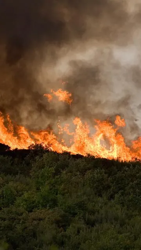 Api Padam, Luasan Hutan dan Lahan yang Terbakar di Gunung Agung Capai 715 Hektare<br>