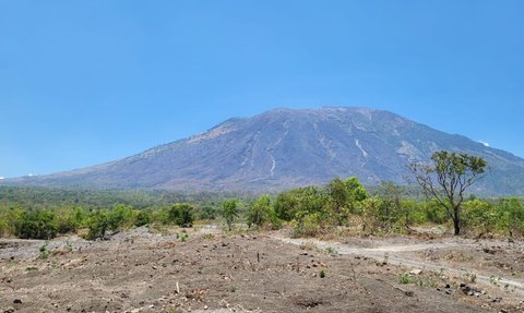 Api Padam, Luasan Hutan dan Lahan yang Terbakar di Gunung Agung Capai 715 Hektare