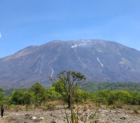 Api Padam, Luasan Hutan dan Lahan yang Terbakar di Gunung Agung Capai 715 Hektare