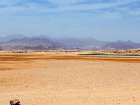 Ilmuwan Ungkap Nenek Moyang Manusia Lewat Rute Ini Saat Keluar dari Afrika 84.000 Tahun Lalu