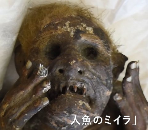 Worshiped for a Long Time, Unveiling the Mystery Behind the Japanese Mermaid Mummy