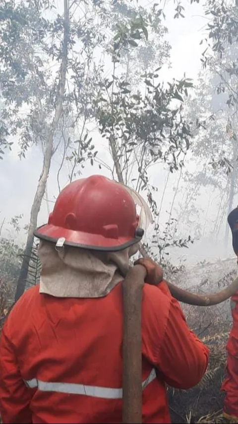 Karhutla di Kalsel Sebabkan Kasus Ispa Meningkat, Tim Gabungan Diturunkan