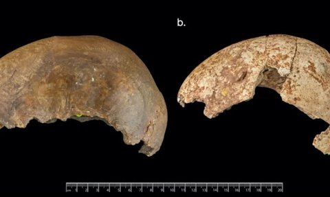 Praktik Mengerikan 15.000 Tahun Lalu di Eropa, Daging Jenazah Manusia Dimakan & Tulangnya Dibuat Jadi Perkakas