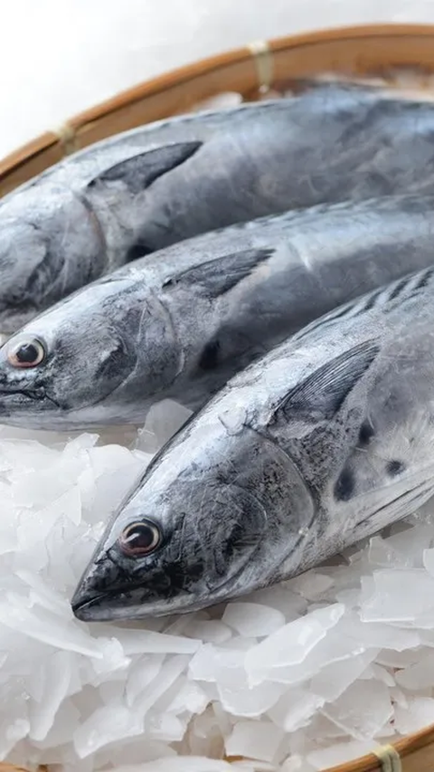 Mengintegrasikan ikan dalam pola makan sehari-hari dapat memberikan manfaat kesehatan yang luar biasa, terutama dalam memenuhi kebutuhan protein tubuh.