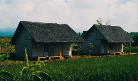 Memiliki Kampung Beras Pandanwangi