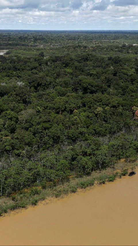 10.000 Situs Arkeologi Masih Tersembunyi di Hutan Amazon, Ada Benteng Sampai Desa Kuno