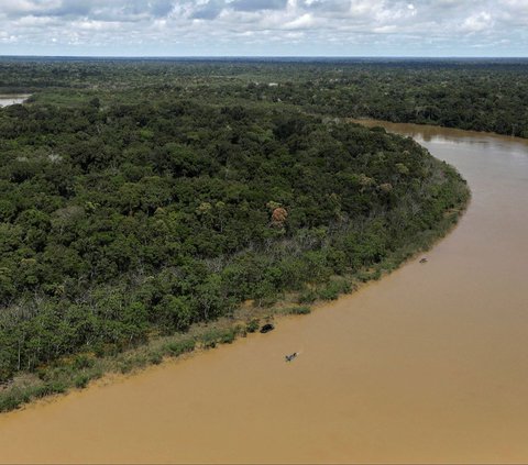 10.000 Situs Arkeologi Masih Tersembunyi di Hutan Amazon, Ada Benteng Sampai Desa Kuno