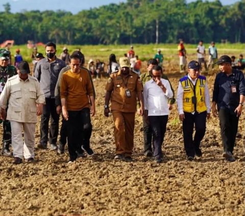 Alasan Jokowi Tunjuk Arief Prasetyo Adi Jadi Plt. Mentan