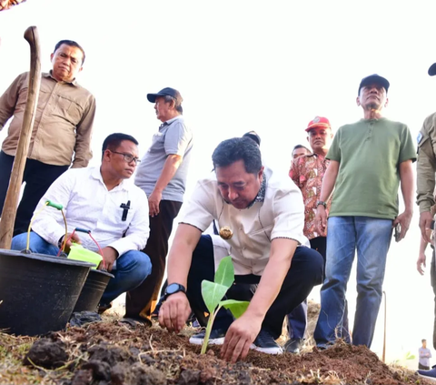 Pj Gubernur Sulsel Tanam Perdana Budidaya Pisang di Mare