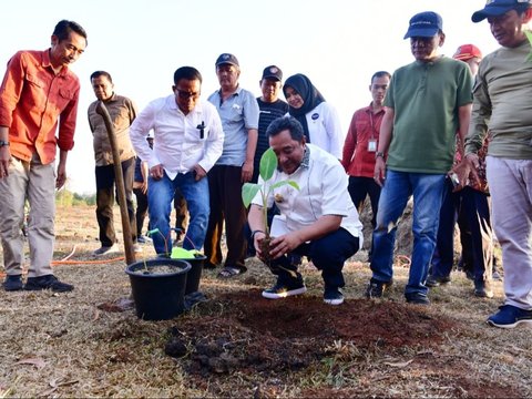 Pj Gubernur Sulsel Tanam Perdana Budidaya Pisang di Mare