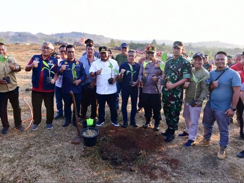 Pj Gubernur Sulsel Tanam Perdana Budidaya Pisang di Mare