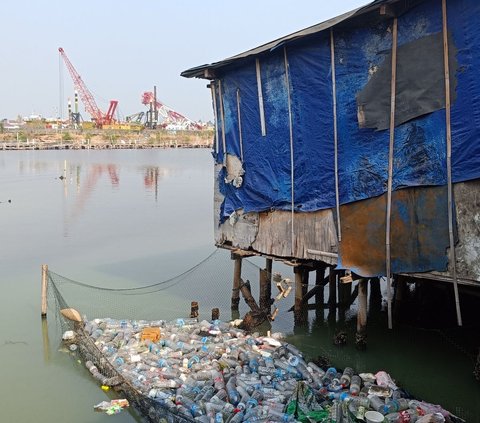 Ketika menyusuri kawasan itu, ternyata ujung dari semua bangunan terhenti di sebuah Teluk bagian utara Jakarta. Di sana sejumlah warga sedang asyik memancing ikan.<br>