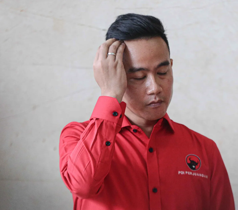 Gerindra Tangsel Usul Gibran Jadi Cawapres Prabowo, Dasco: Salah Satu Pertimbangan