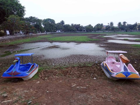 Portrait of Lake Cinere that Dries Up Due to Prolonged Drought