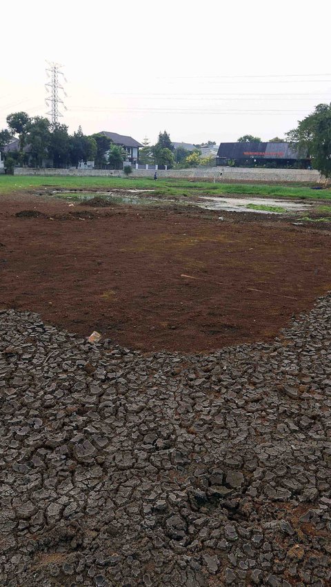 Portrait of Lake Cinere that Dries Up Due to Prolonged Drought