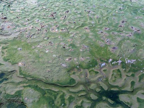 Portrait of Lake Cinere that Dries Up Due to Prolonged Drought