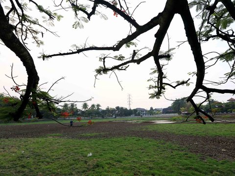 Portrait of Lake Cinere that Dries Up Due to Prolonged Drought