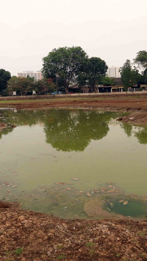 Portrait of Lake Cinere that Dries Up Due to Prolonged Drought