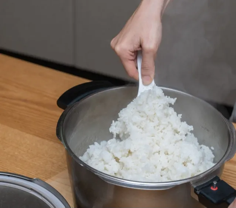 Catat! Begini Cara Dapat Rice Cooker Gratis dari Pemerintah