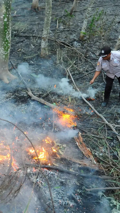 FOTO: Petaka Puntung Rokok Nyaris Membakar Habis Hutan Kota di Perumahan Batan Indah Tangerang Selatan